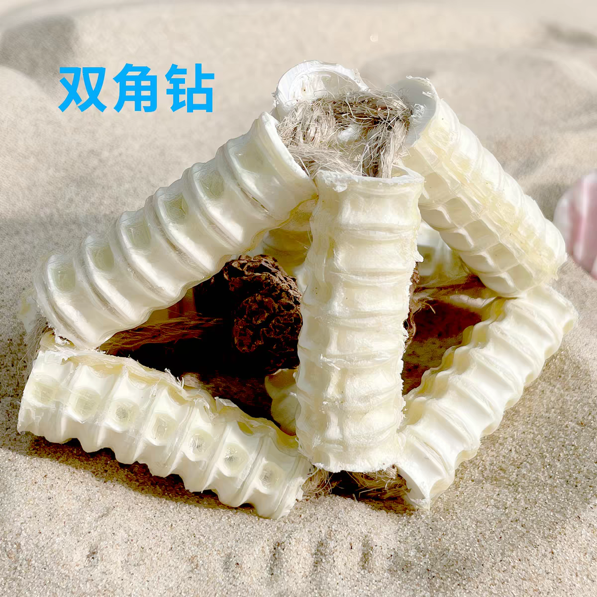 Gatito una granja de madera días Liao cepillo de insectos 廮 seco desde el hola de gelatina de bruxismo maravilloso gato YaoYao barras vedere sub-productos serie tiburones juguetes barras de pluma gato recrear el cuero puro hueso ZhiSheng juguetes artesanales XiaChan consistiría en contacto con pic 26