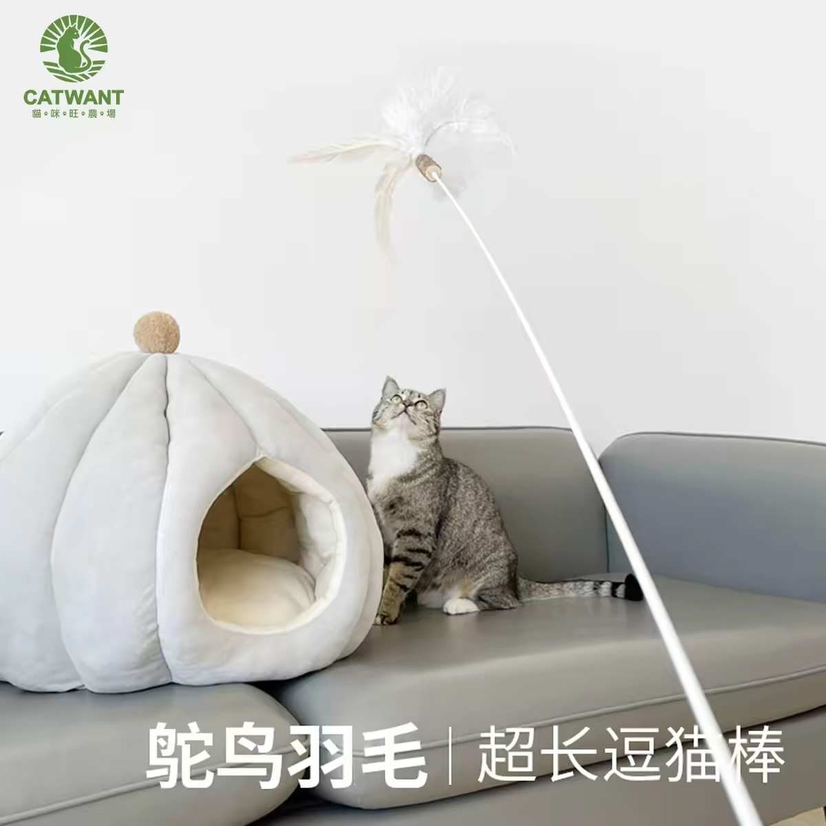 Gatito una granja de madera días Liao cepillo de insectos 廮 seco desde el hola de gelatina de bruxismo maravilloso gato YaoYao barras vedere sub-productos serie tiburones juguetes barras de pluma gato recrear el cuero puro hueso ZhiSheng juguetes artesanales XiaChan consistiría en contacto con pic 37