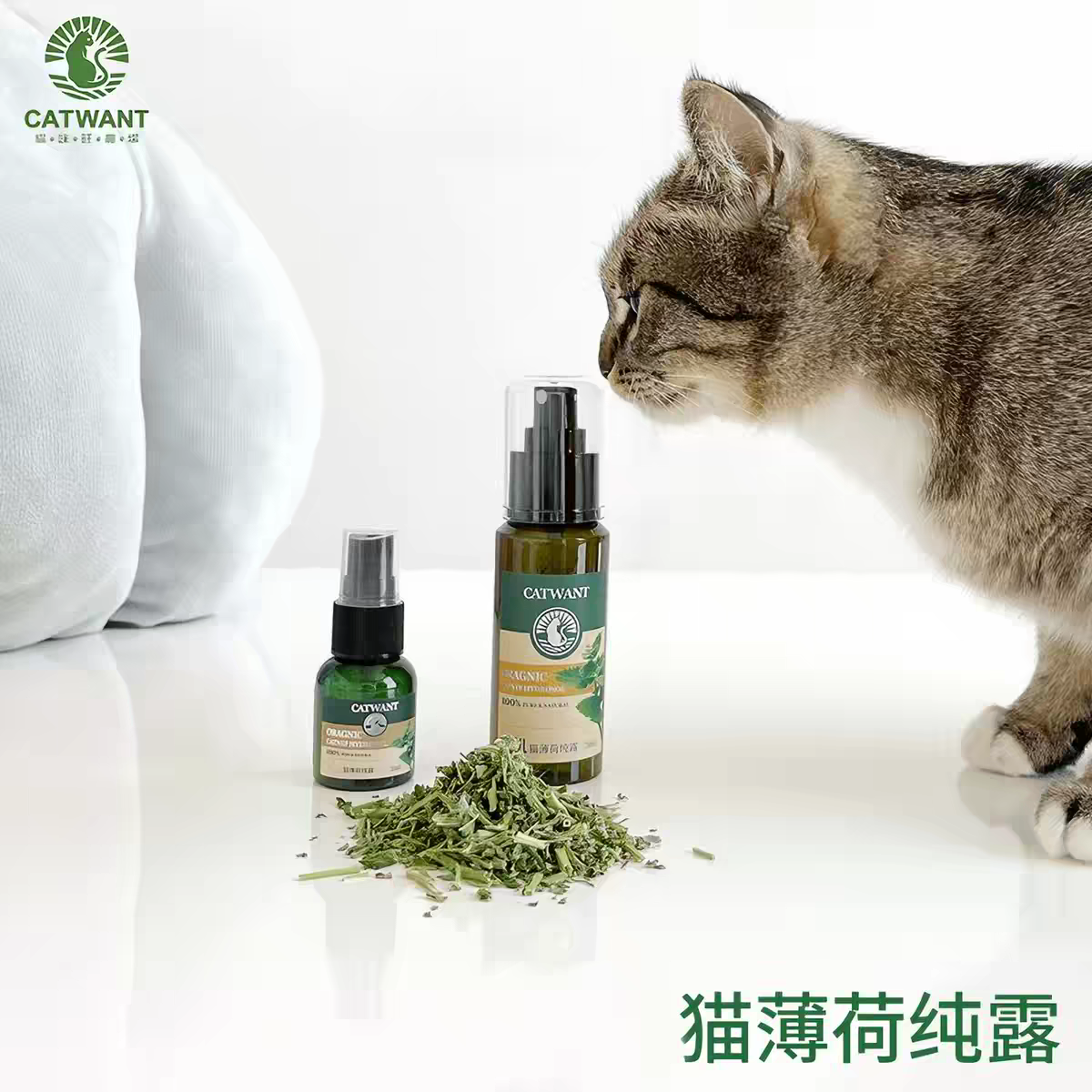 Gatito una granja de madera días Liao cepillo de insectos 廮 seco desde el hola de gelatina de bruxismo maravilloso gato YaoYao barras vedere sub-productos serie tiburones juguetes barras de pluma gato recrear el cuero puro hueso ZhiSheng juguetes artesanales XiaChan consistiría en contacto con Application Scenario