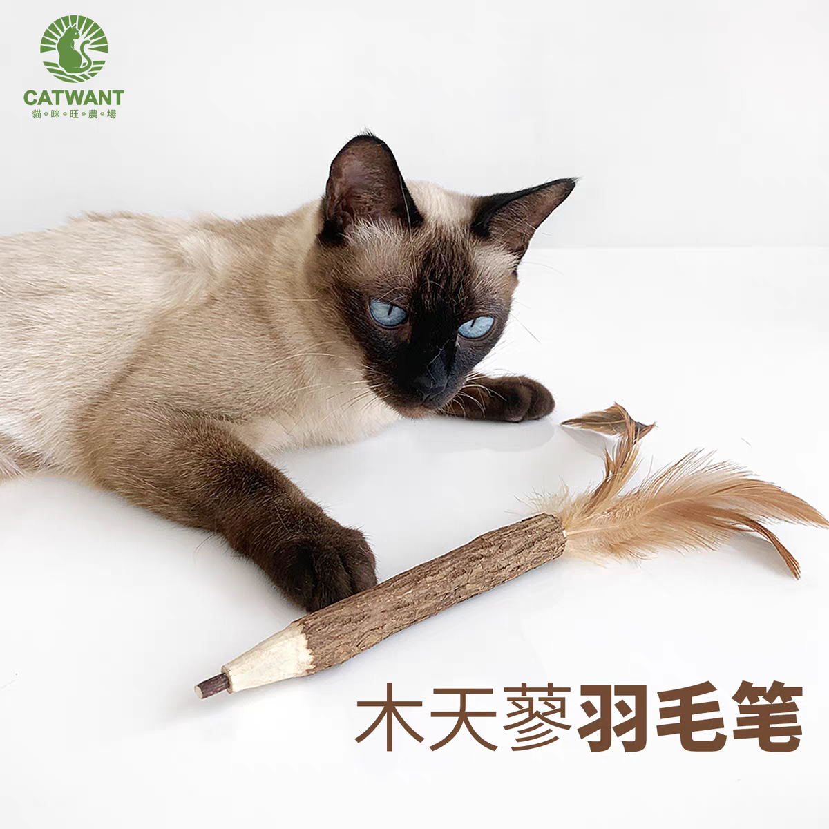 Gatito una granja de madera días Liao cepillo de insectos 廮 seco desde el hola de gelatina de bruxismo maravilloso gato YaoYao barras vedere sub-productos serie tiburones juguetes barras de pluma gato recrear el cuero puro hueso ZhiSheng juguetes artesanales XiaChan consistiría en contacto con pic 12