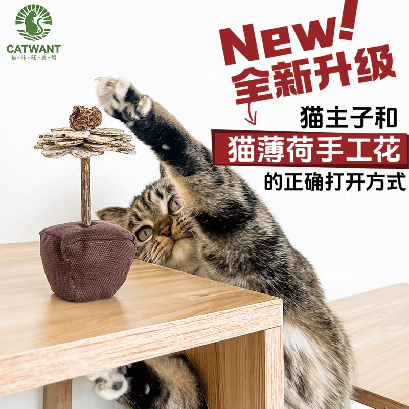 Gatito una granja de madera días Liao cepillo de insectos 廮 seco desde el hola de gelatina de bruxismo maravilloso gato YaoYao barras vedere sub-productos serie tiburones juguetes barras de pluma gato recrear el cuero puro hueso ZhiSheng juguetes artesanales XiaChan consistiría en contacto con pic 14