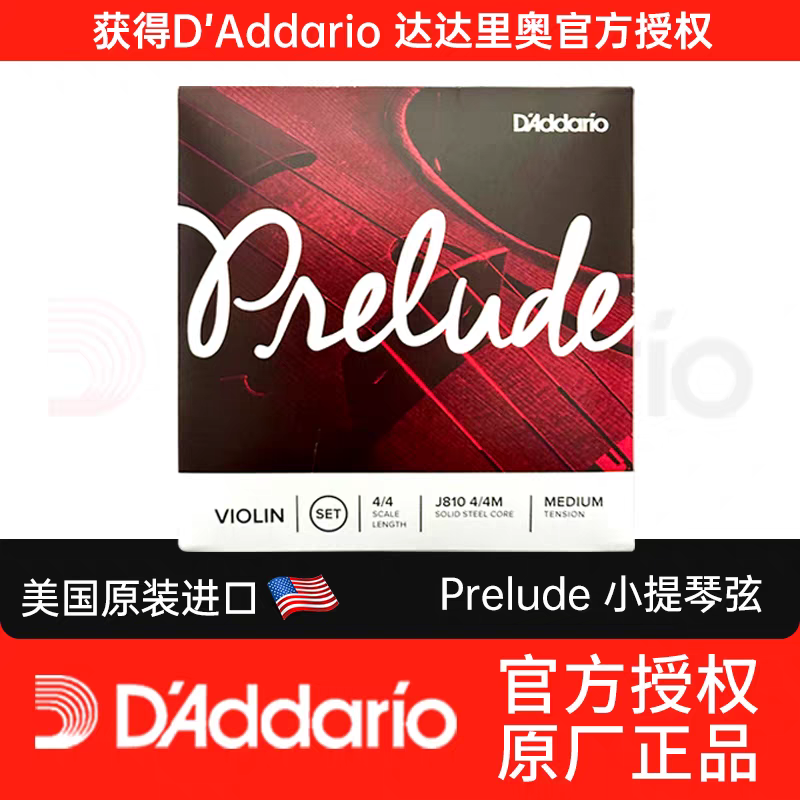Aileen American DDDario Dario Prelode، مجموعة كمان J810 4/4.