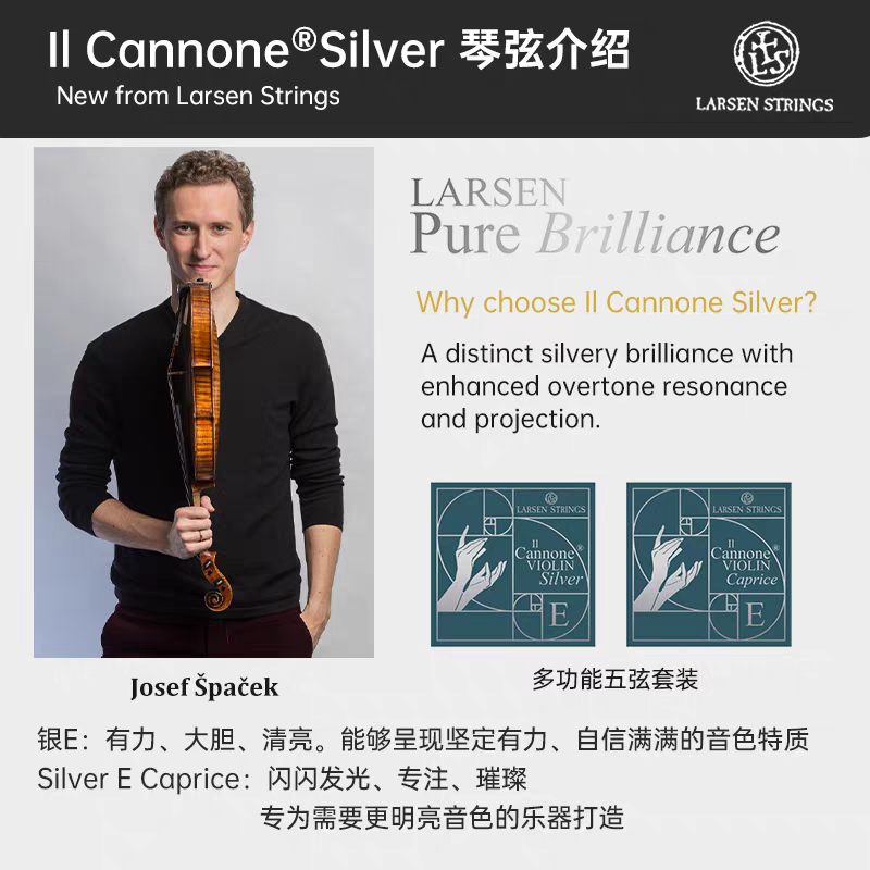 Aileen el sonido LARSEN Il Cannone plata larsen silverplate cañón cuerdas de violín details Picture