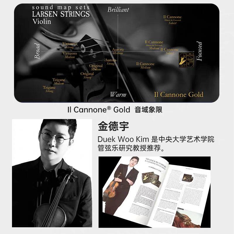 Aileen Danish LARSEN I1 Cannone Gold gold cannon violin strings Application Scenario