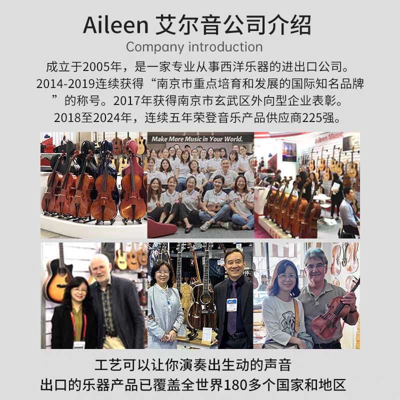 Aileen Austrian Thomastik Thomas Peter PI100 school violin strings Item Picture