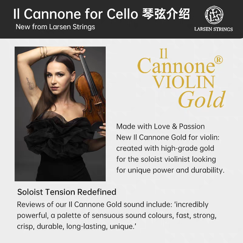Aileen Danish LARSEN I1 Cannone Gold gold cannon violin strings Specification image