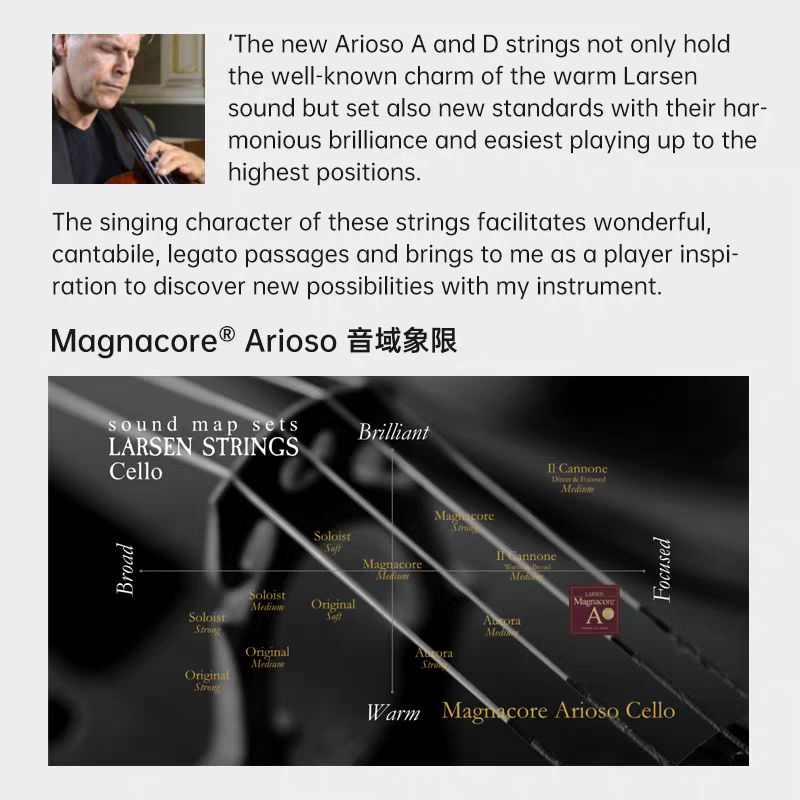 Aileen Danish LARSEN Magnacore professional-grade cello string sets/single strings details Picture