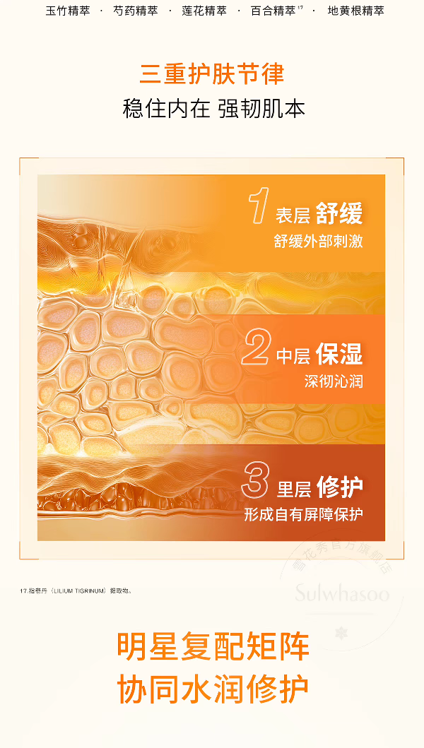 Sulwhasoo Ziying Luguang Skin Care Gift Box Repairing, Moisturizing, Antioxidant, Anti-Sugar and Anti-Aging Skin Care Set Gift Box detail image 11
