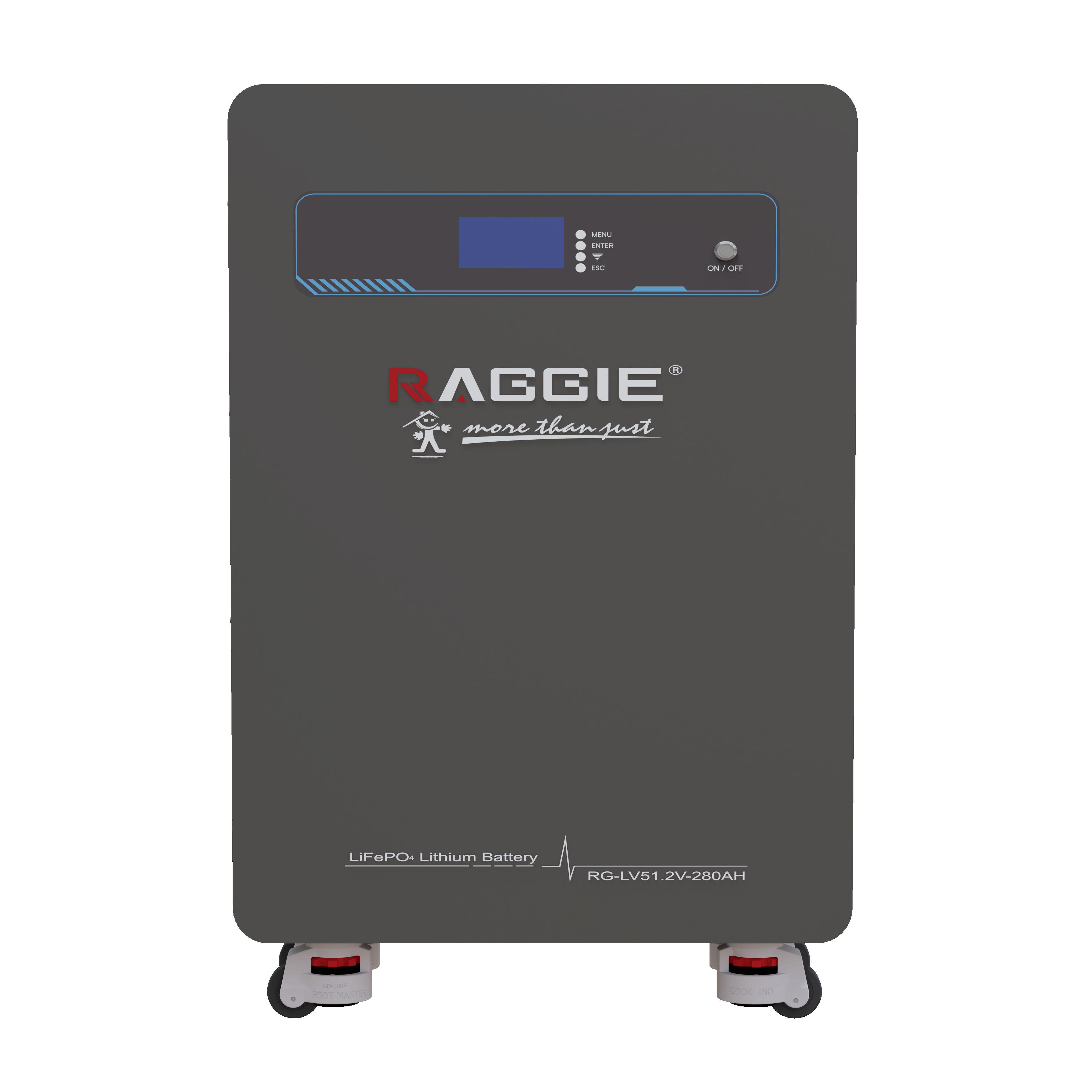 RAGGIE wall-mounted lithium iron phosphate energy storage battery LV51.2V 15kwh Smart BMS WIFI Bluetooth can be connected in parallel with household photovoltaic energy storage lithium batteries