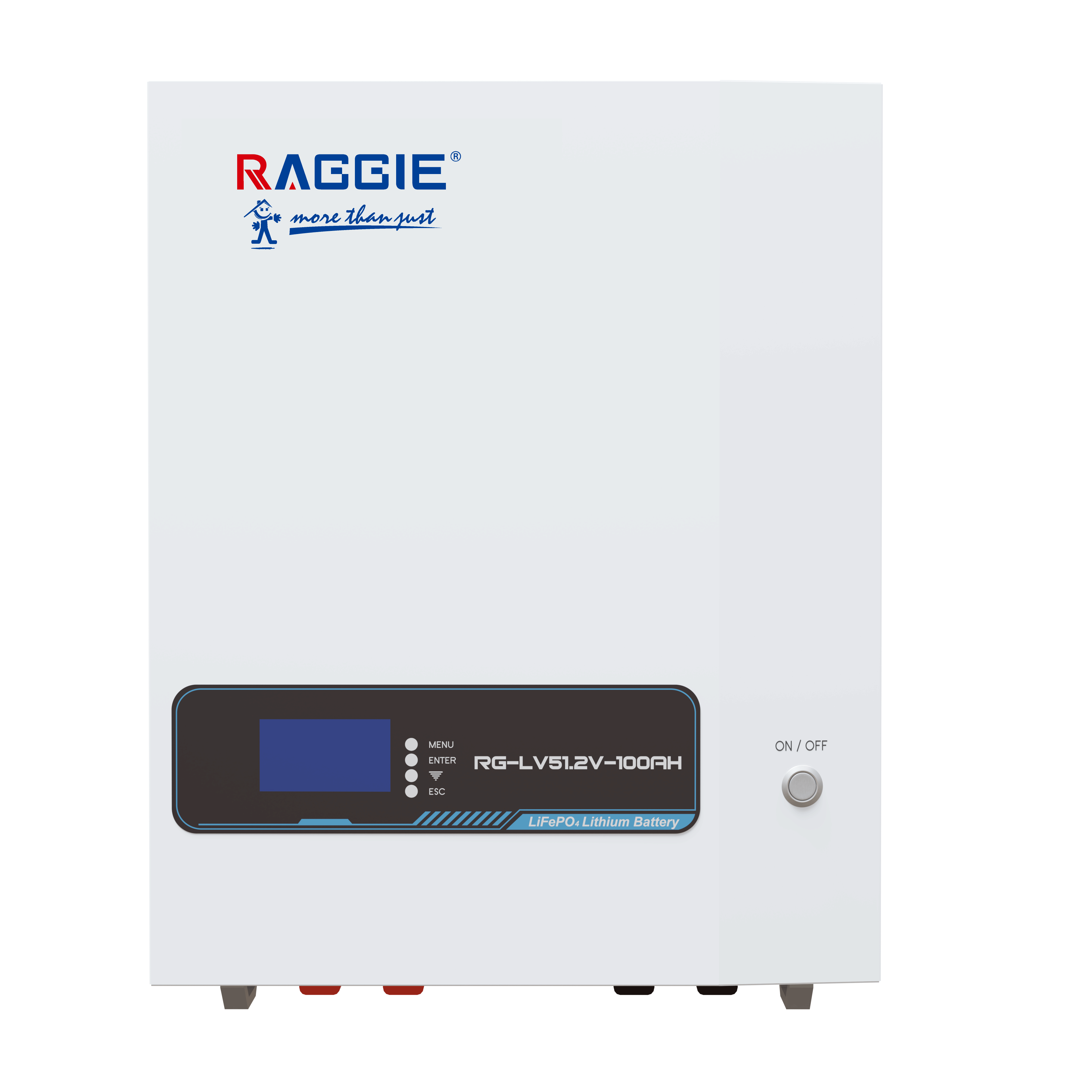 RAGGIE wall-mounted lithium iron phosphate energy storage battery LV51.2V 5kwh Smart BMS WIFI Bluetooth can be connected in parallel with household photovoltaic energy storage lithium batteries details Picture