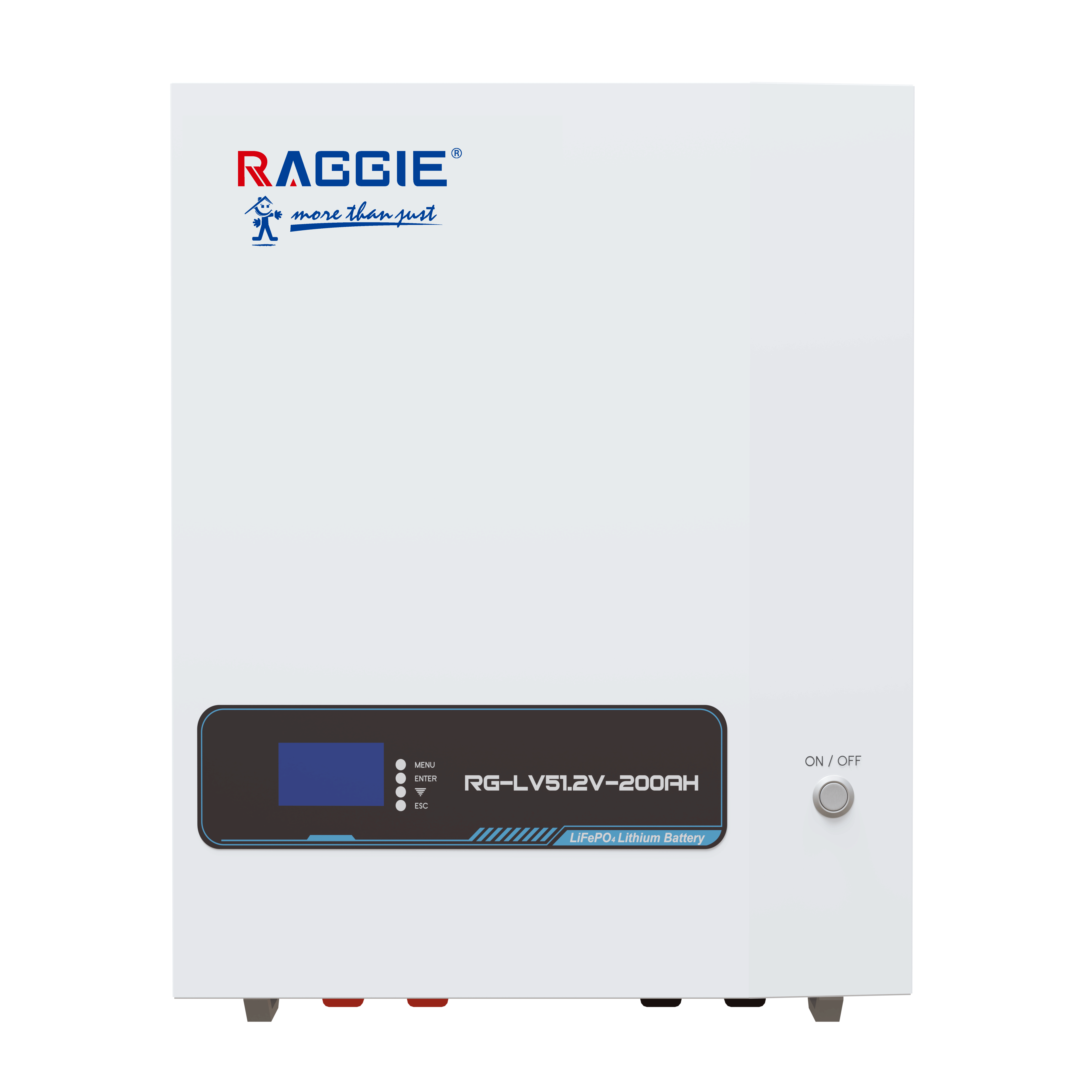 RAGGIE wall-mounted lithium iron phosphate energy storage battery LV51.2V 10kwh, intelligent BMS, WIFI and Bluetooth, can be connected in parallel with household photovoltaic energy storage lithium batteries details Picture