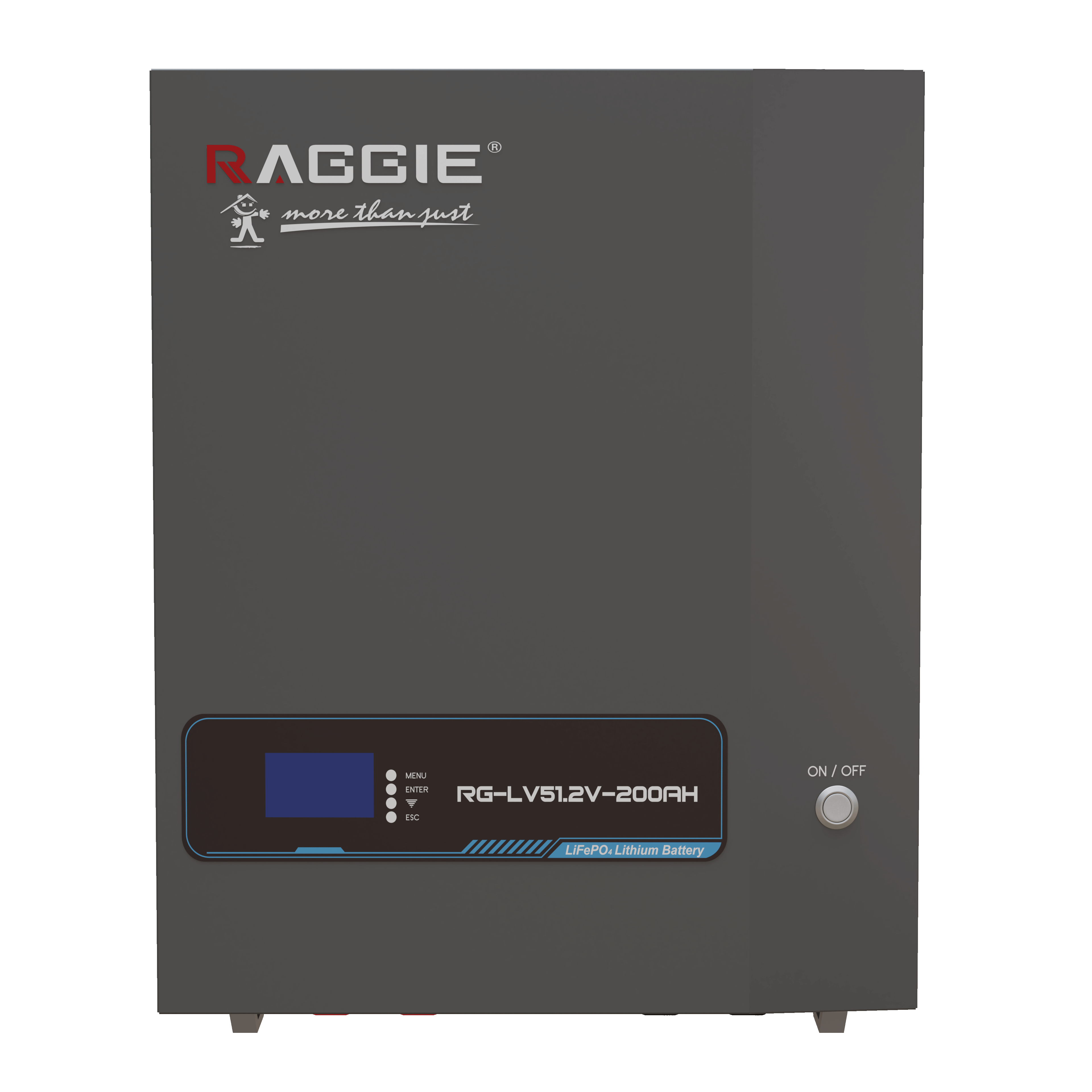 RAGGIE wall-mounted lithium iron phosphate energy storage battery LV51.2V 10kwh, intelligent BMS, WIFI and Bluetooth, can be connected in parallel with household photovoltaic energy storage lithium batteries