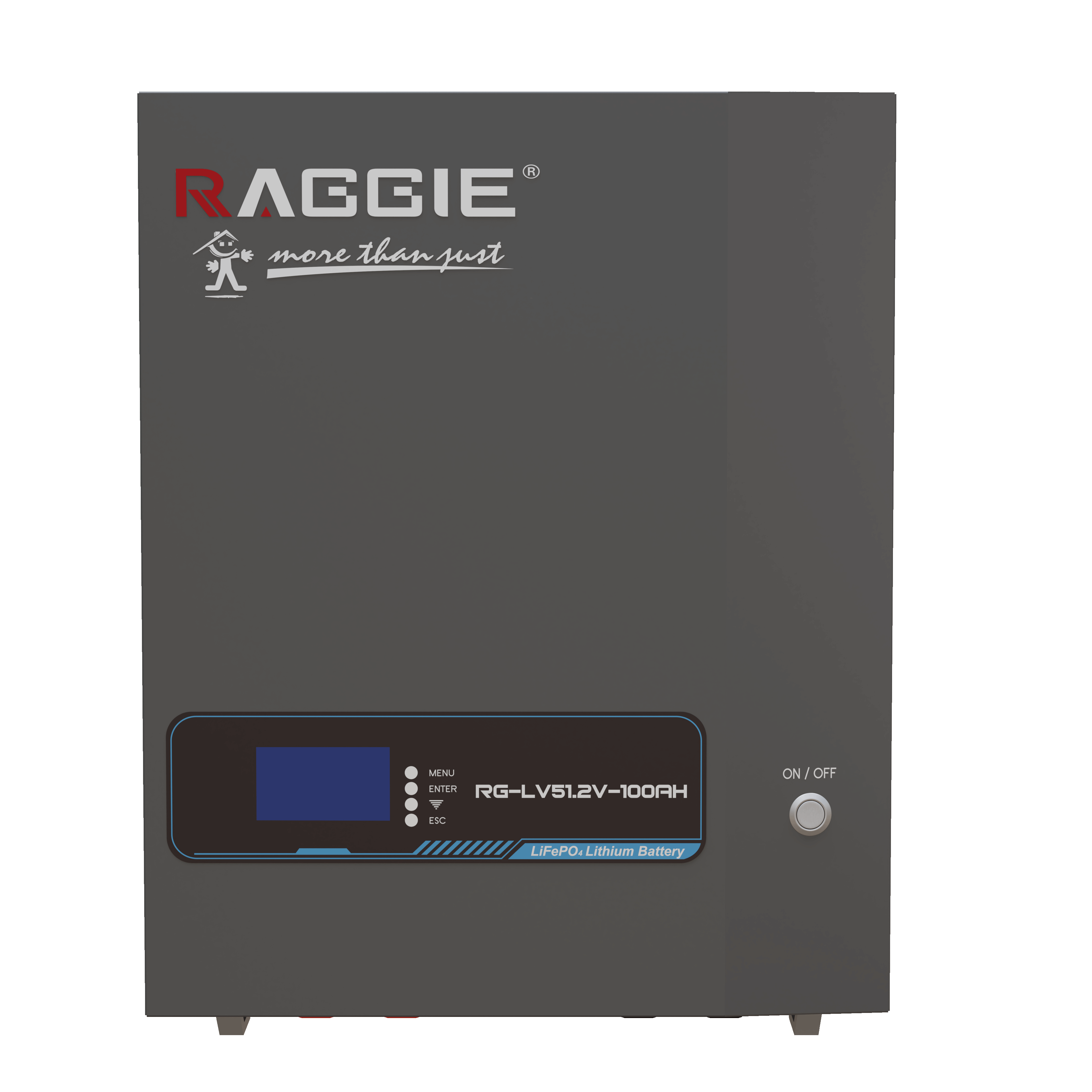 RAGGIE wall-mounted lithium iron phosphate energy storage battery LV51.2V 5kwh Smart BMS WIFI Bluetooth can be connected in parallel with household photovoltaic energy storage lithium batteries