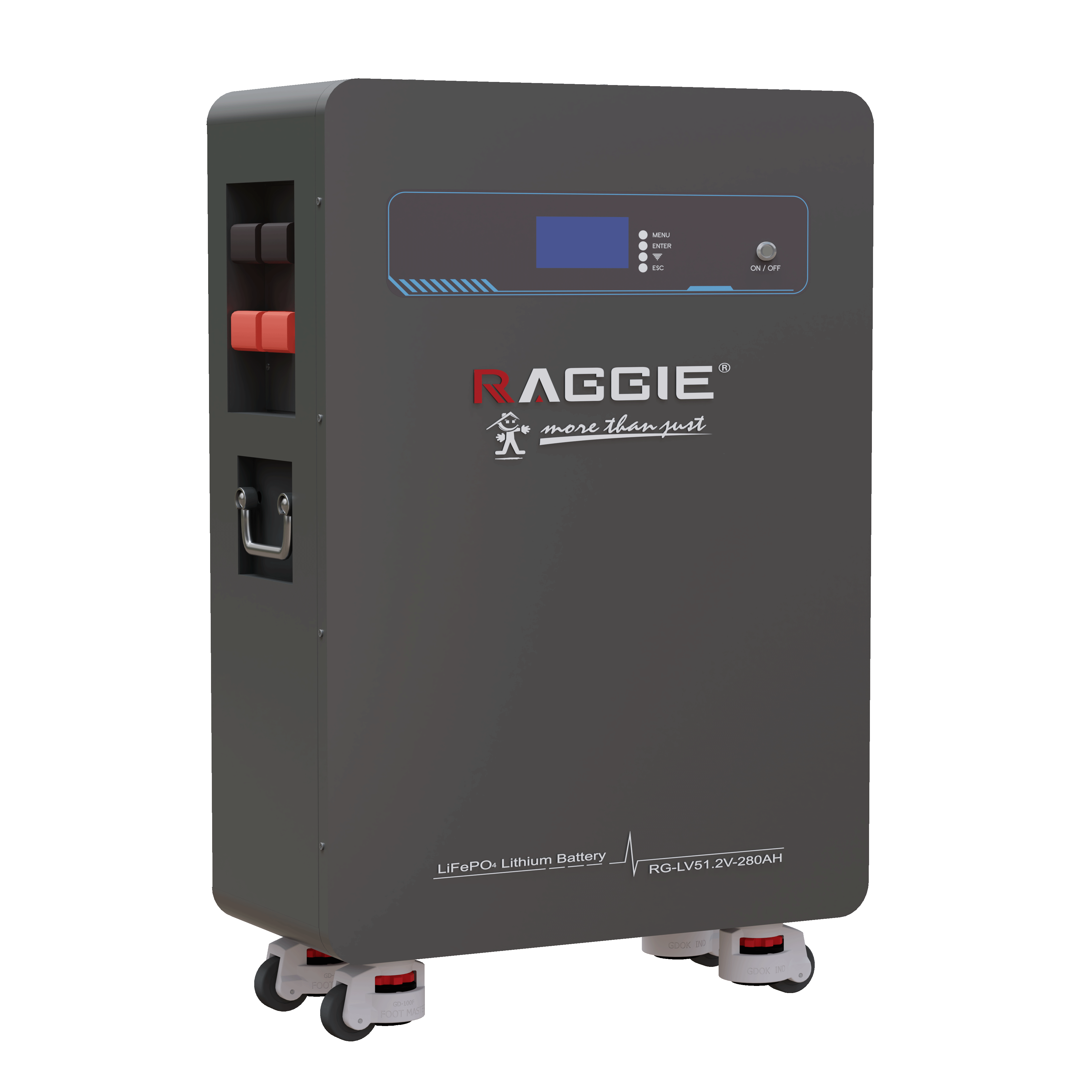 RAGGIE wall-mounted lithium iron phosphate energy storage battery LV51.2V 15kwh Smart BMS WIFI Bluetooth can be connected in parallel with household photovoltaic energy storage lithium batteries Item Picture