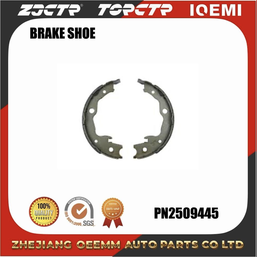 Zjctr/Brake Shoe/Fn0621/44060-029va/Auto Parts/ODM/OEM Item Picture