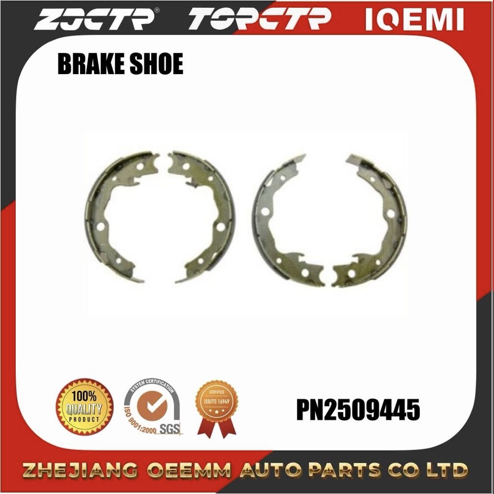Zjctr/Brake Shoe/Fn0621/44060-029va/Auto Parts/ODM/OEM details Picture
