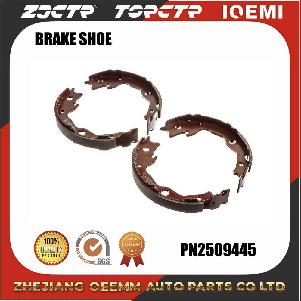 Zjctr/Brake Shoe/Fn0621/44060-029va/Auto Parts/ODM/OEM