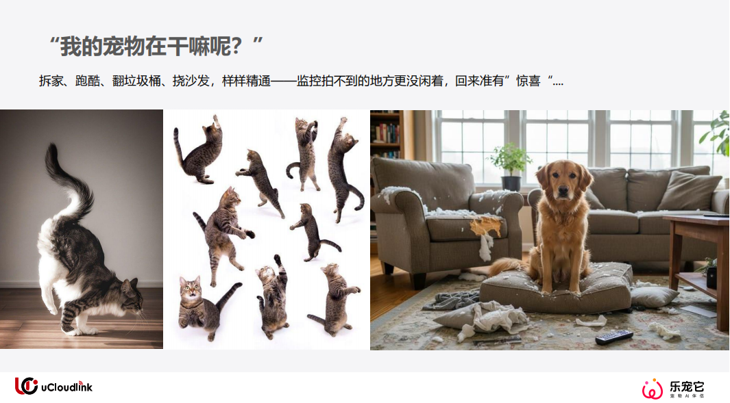 Pet-are party () — компьютерная игра, создаваемая компанией pet, предназначенная для общения с детьми pic 1