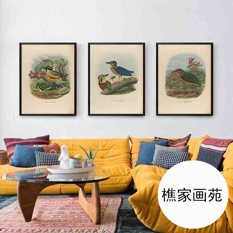 动物鸟类装饰挂画 大自然小清新客厅卧室书房装饰喷绘挂画