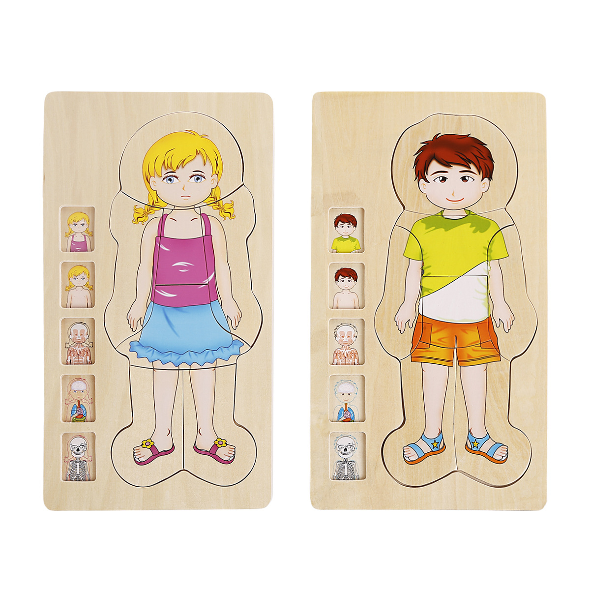 Yiwu Good Goods onshine Multi-layer Puzzle for Boys and Girls, Human Body structure, Children's Intelligence, Wooden Play, Early Education and Benefit Toys -1001/2725 Specification image