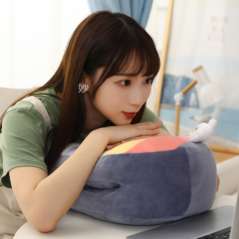 Soft throw pillow, cushion, seat cushion, multi-functional comfort, creative bed, bedroom, birthday gift, nap pillow, little rainbow animal Application Scenario