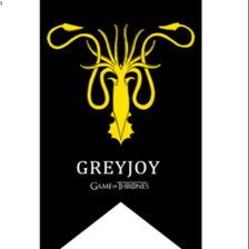 现货批发 75*125 cm 权利游戏 装饰旗涤纶Greyjoy黑底黄章鱼