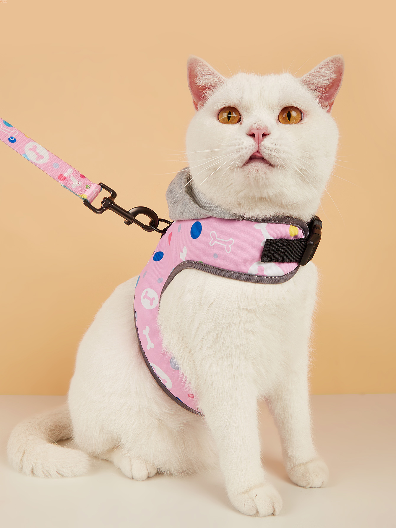 Hooded, chest, back, shoulder strap, leash, dog leash, pet cat and dog two-piece set, pet wear, printed polyester in multiple colors, available for selection and customization. Cross-border bestseller, direct supply from the manufacturer Application Scenario