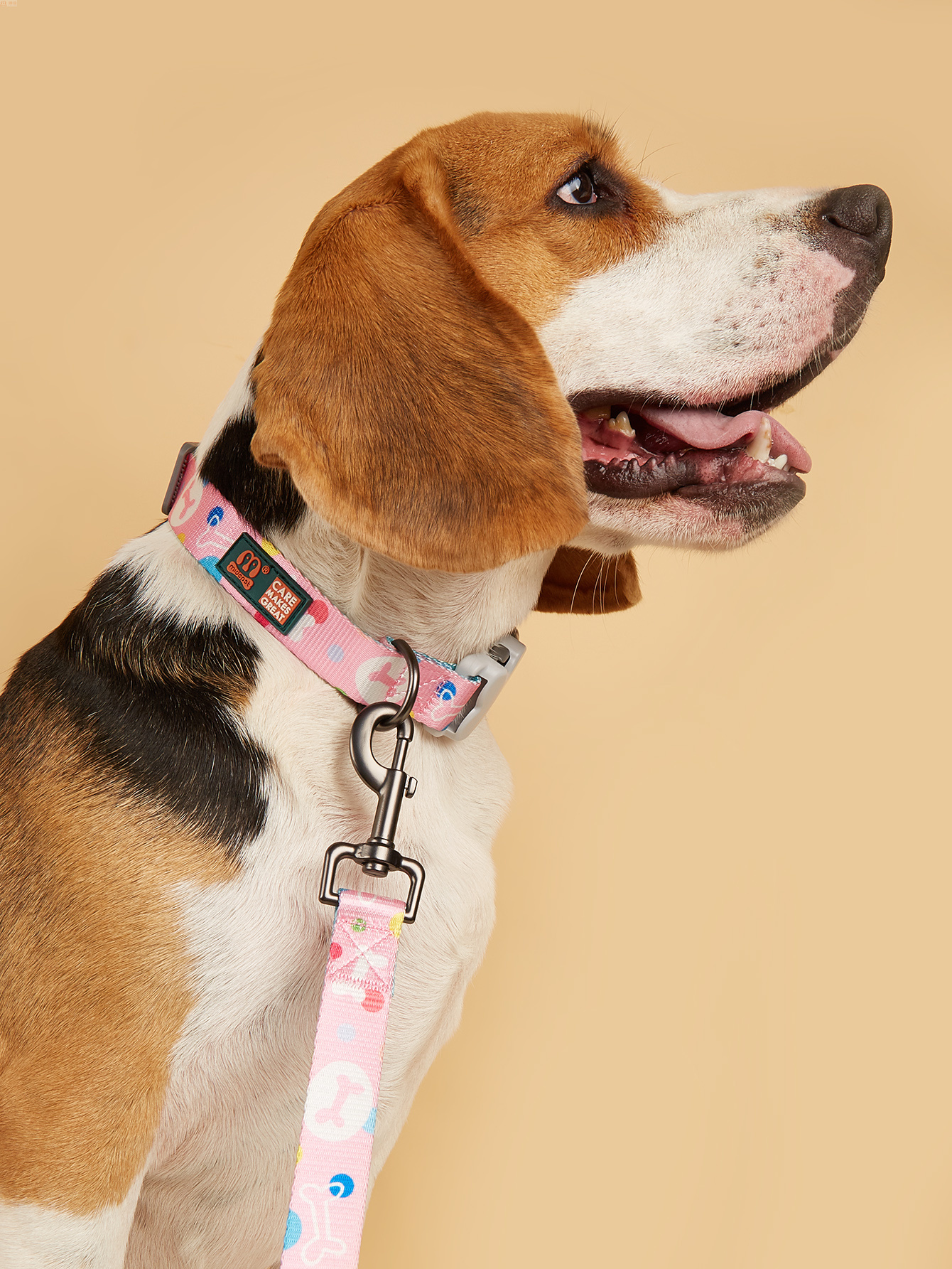 Bestseller dog leash collar set of two pieces, classic bone print large and medium-sized dog leash Specification image