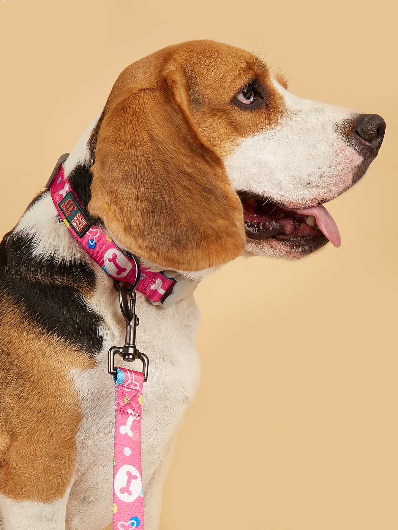 Bestseller dog leash collar set of two pieces, classic bone print large and medium-sized dog leash Application Scenario