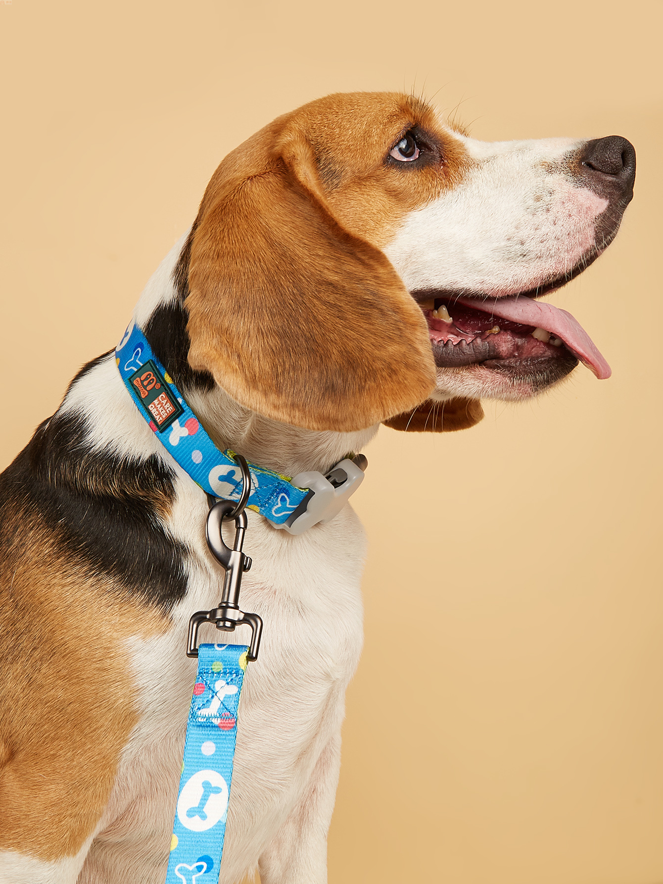 Bestseller dog leash collar set of two pieces, classic bone print large and medium-sized dog leash details Picture