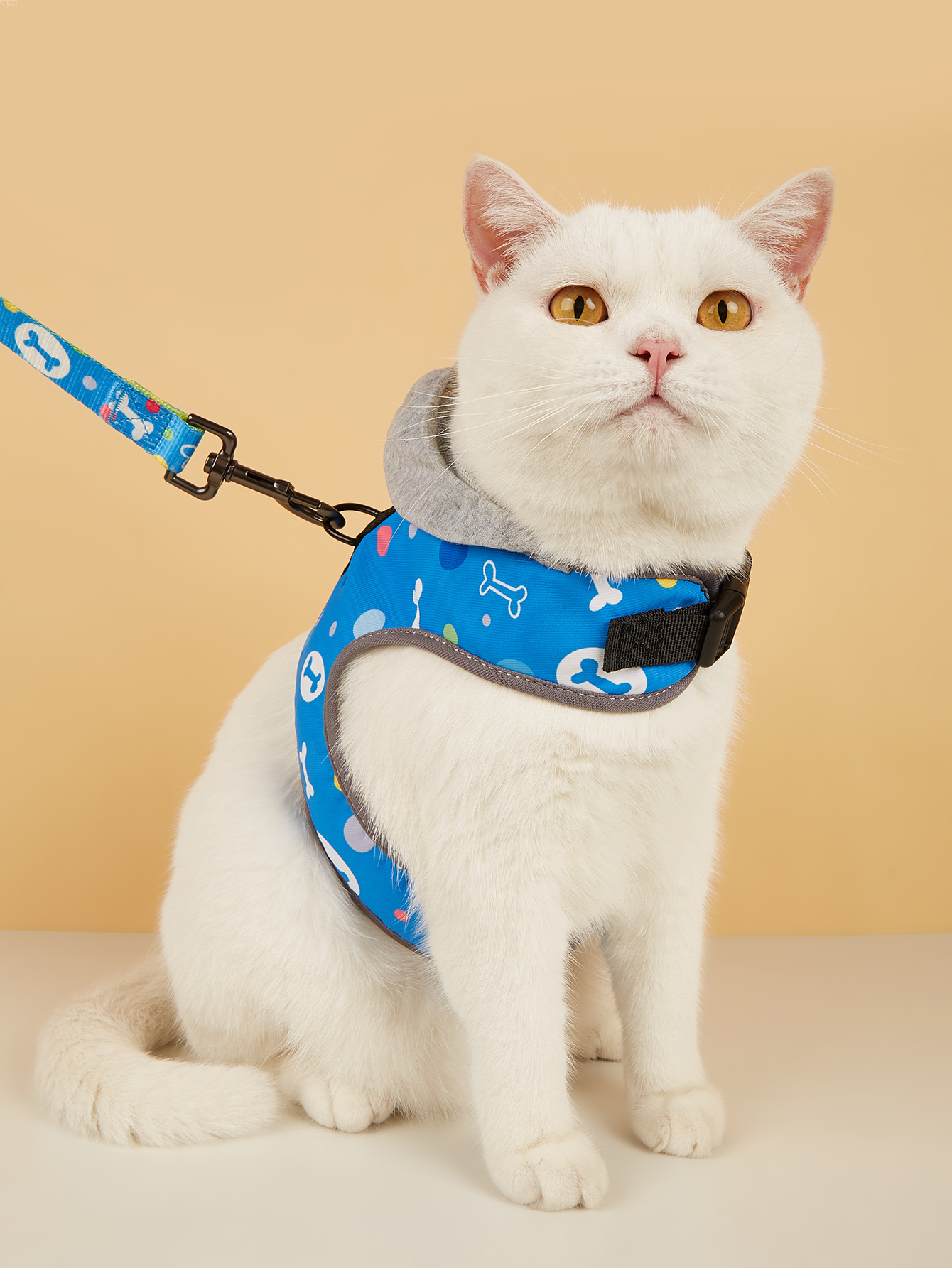 Hooded, chest, back, shoulder strap, leash, dog leash, pet cat and dog two-piece set, pet wear, printed polyester in multiple colors, available for selection and customization. Cross-border bestseller, direct supply from the manufacturer Specification image