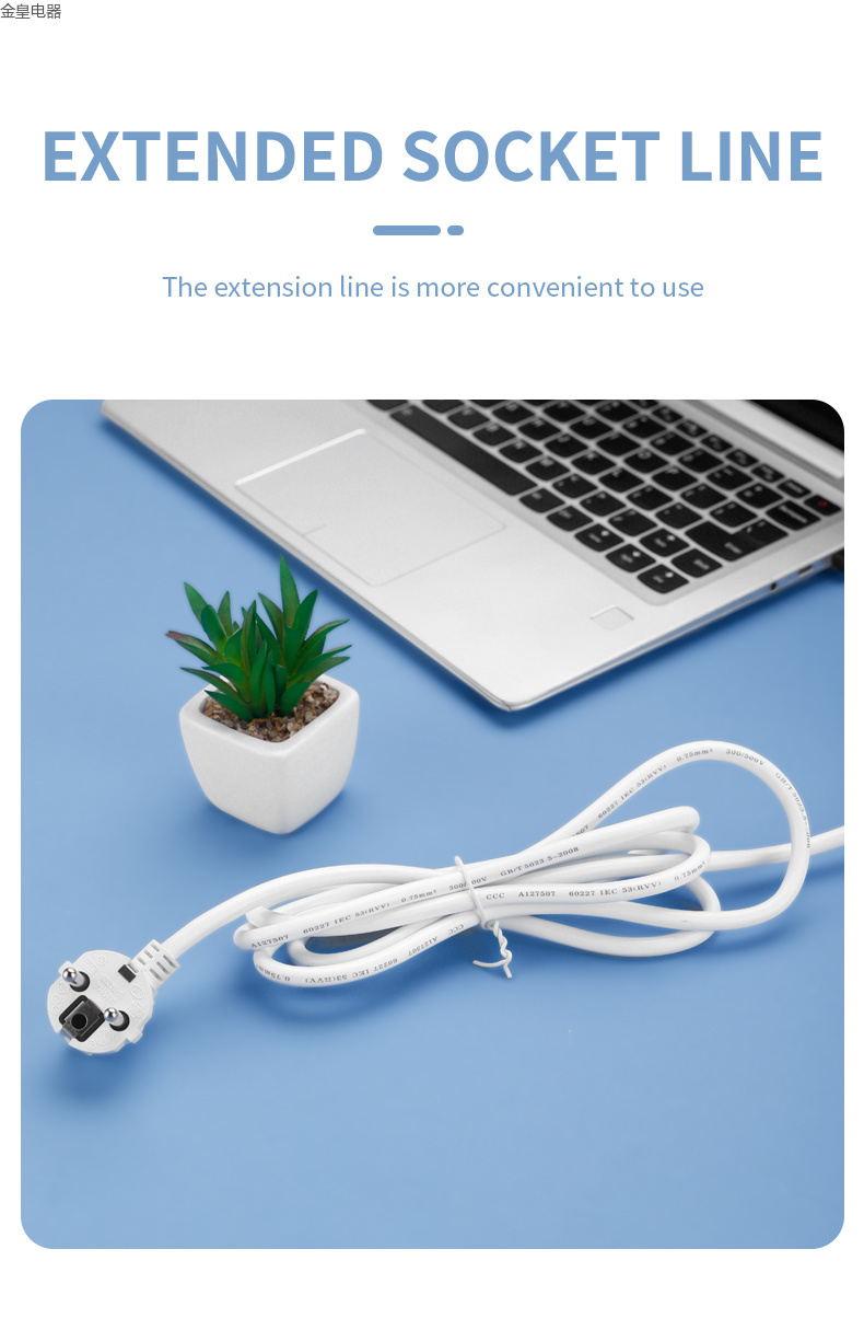 亚马逊 跨境电商 欧式孔  万能孔 USB TYPE-C 手机充电 欧标 欧规 欧孔 欧标插排 插座 外贸插线详情6