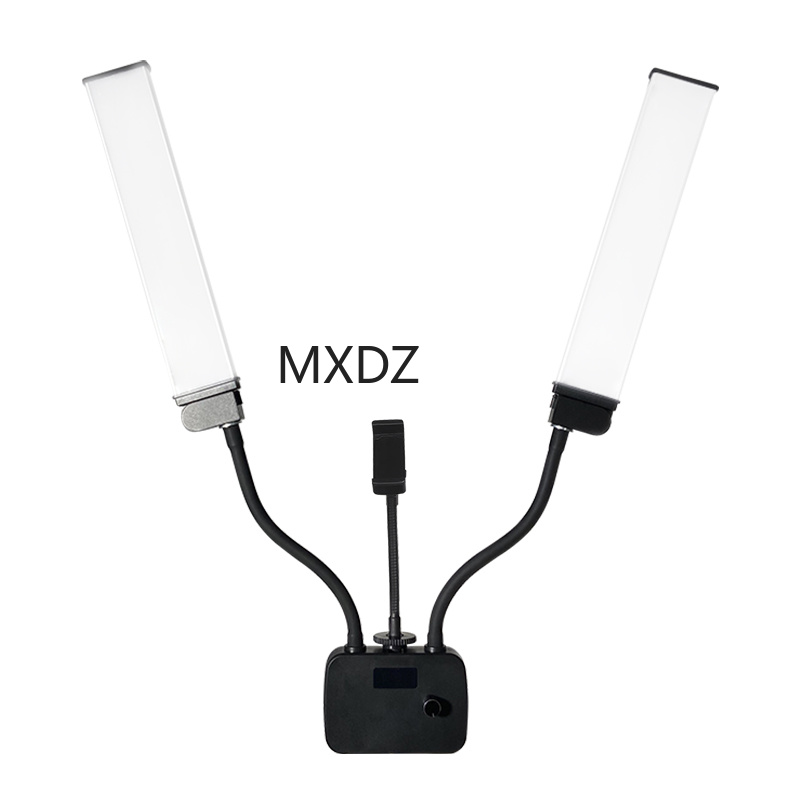 Live-streaming beauty dual-arm lamp Item Picture