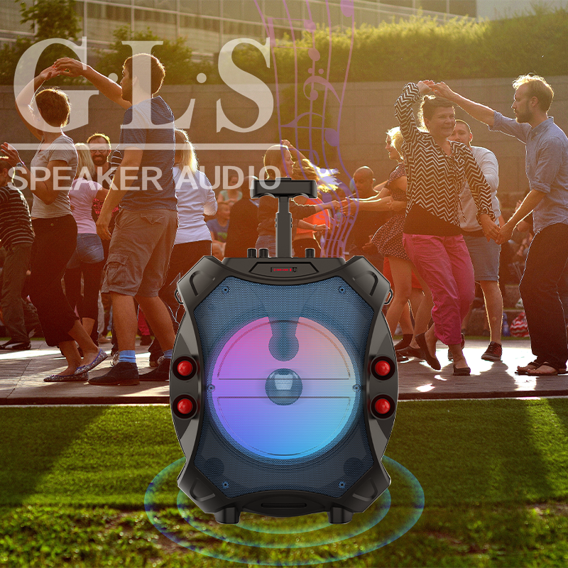 ZQS 12109 single 12 "portable speaker portable Bluetooth wireless audio radio wired mic Item Picture