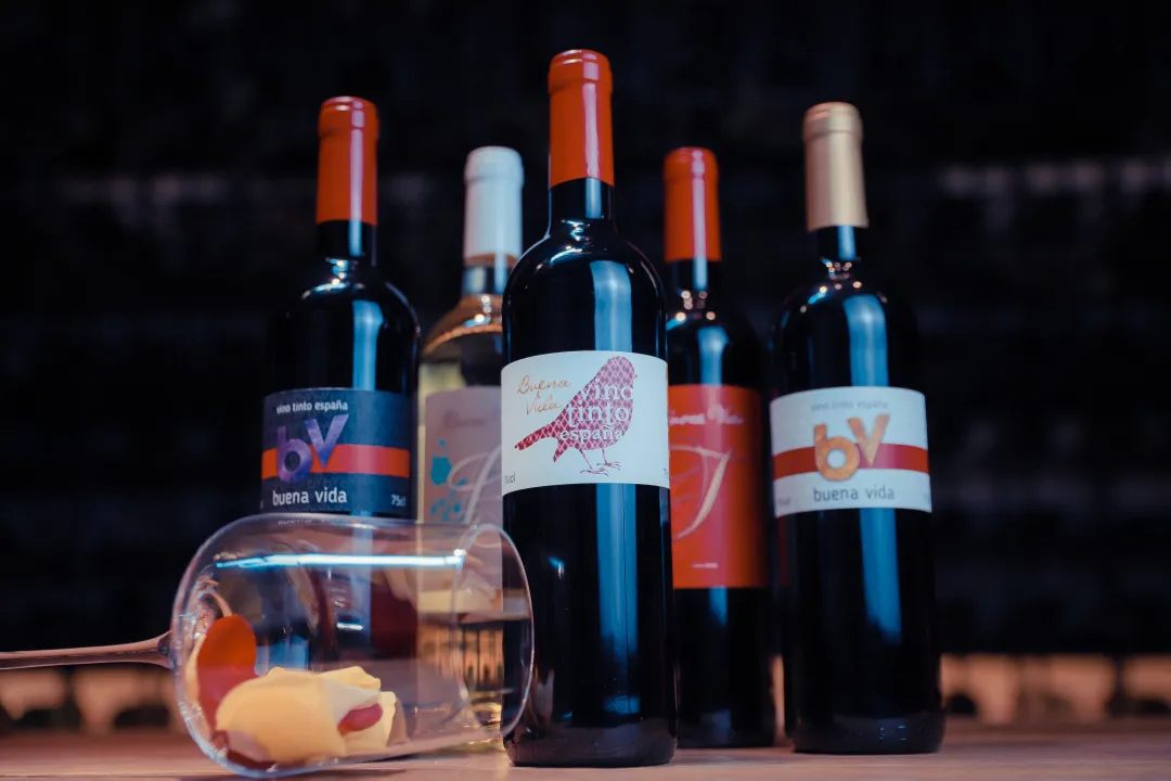 【原瓶进口】西班牙原瓶原装佳途干红葡萄酒/红酒详情图1