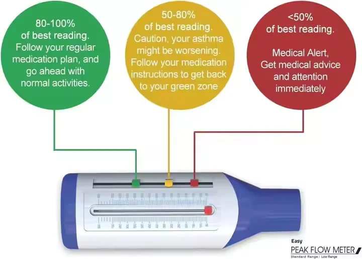 Portable pulmonary function instrument, peak velocity meter, breath flow meter, asthma lung detector, adult and children's respiratory function monitor Application Scenario
