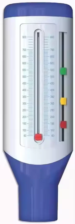 Portable pulmonary function instrument, peak velocity meter, breath flow meter, asthma lung detector, adult and children's respiratory function monitor details Picture